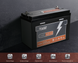 Акумуляторна батарея LiFePo4 100Ah 12.8V 2025000101 фото 1